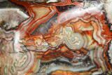 Polished Crazy Lace Agate - Mexico #180547-3